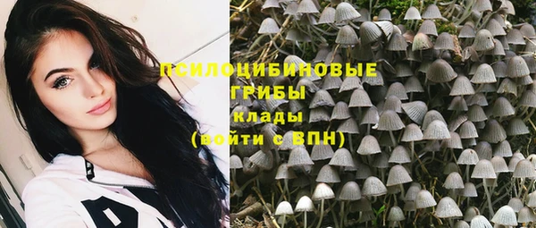 шишки Навашино