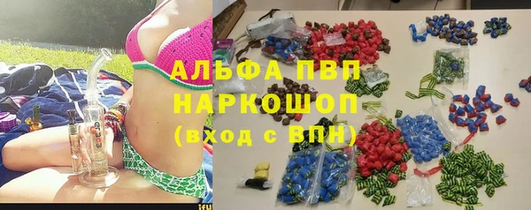 индика Белоозёрский