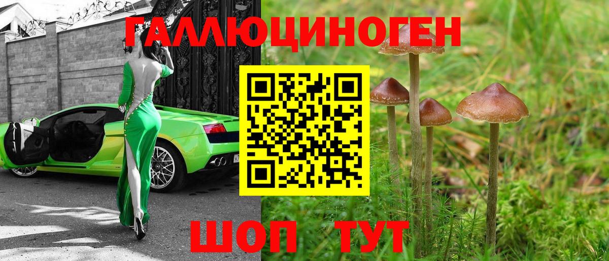 Галлюциногенные грибы прущие грибы Унеча