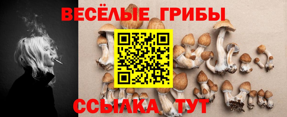 Галлюциногенные грибы Cubensis  Вход с VPN  Унеча 