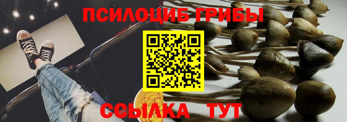 Галлюциногенные грибы ЛСД  купить наркоту  Псилоцибиновые грибы Magic Shrooms  Унеча 